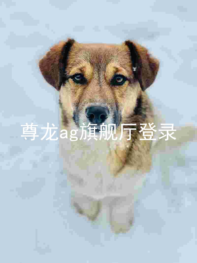 尊龙ag旗舰厅登录