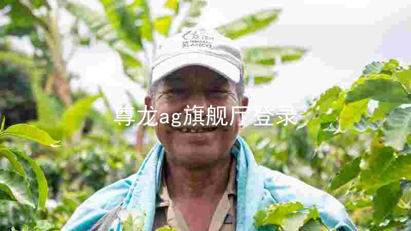 尊龙ag旗舰厅登录