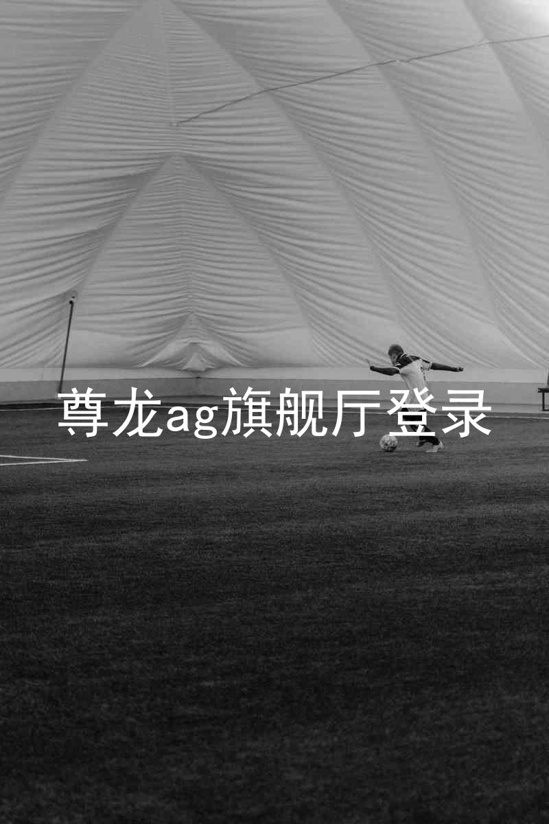 尊龙ag旗舰厅登录