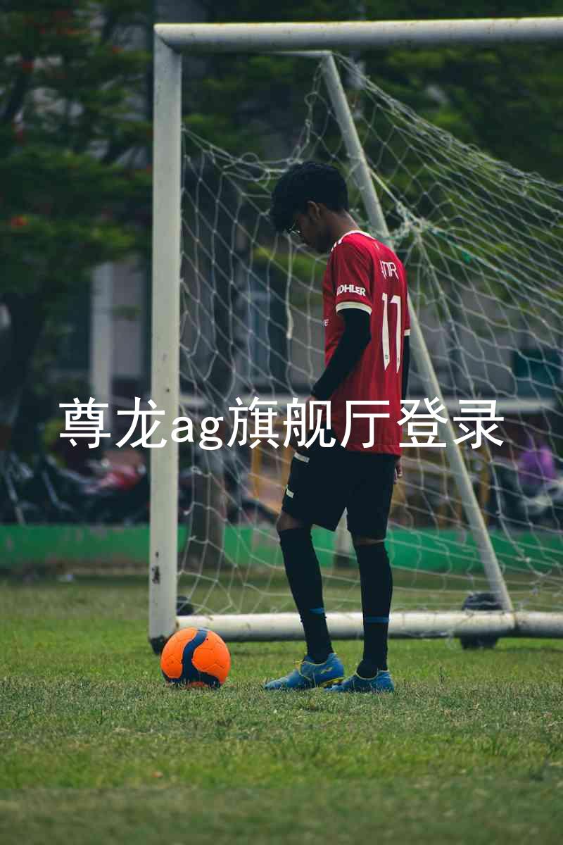 尊龙ag旗舰厅登录