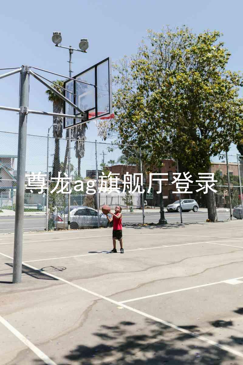 尊龙ag旗舰厅登录